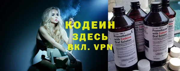 мет Няндома