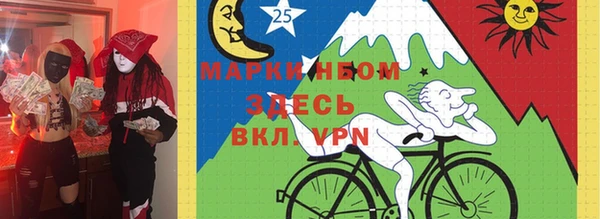 мет Няндома