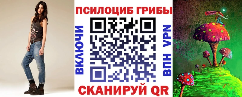 Галлюциногенные грибы Psilocybe  Скопин 