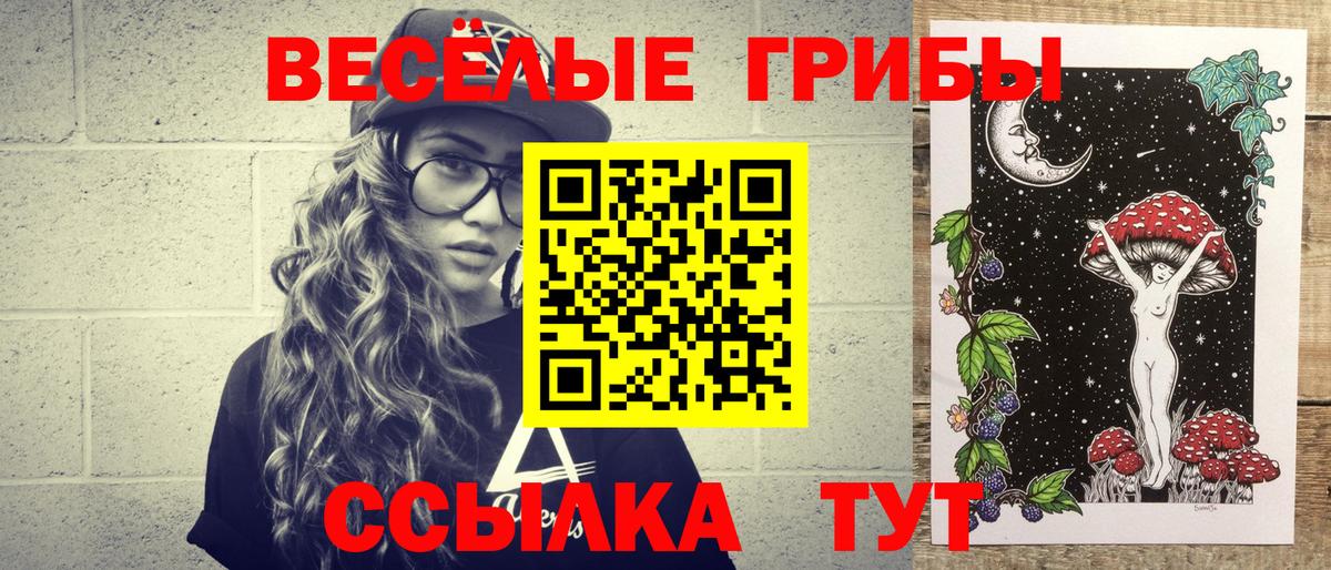 Псилоцибиновые грибы Psilocybine cubensis Скопин