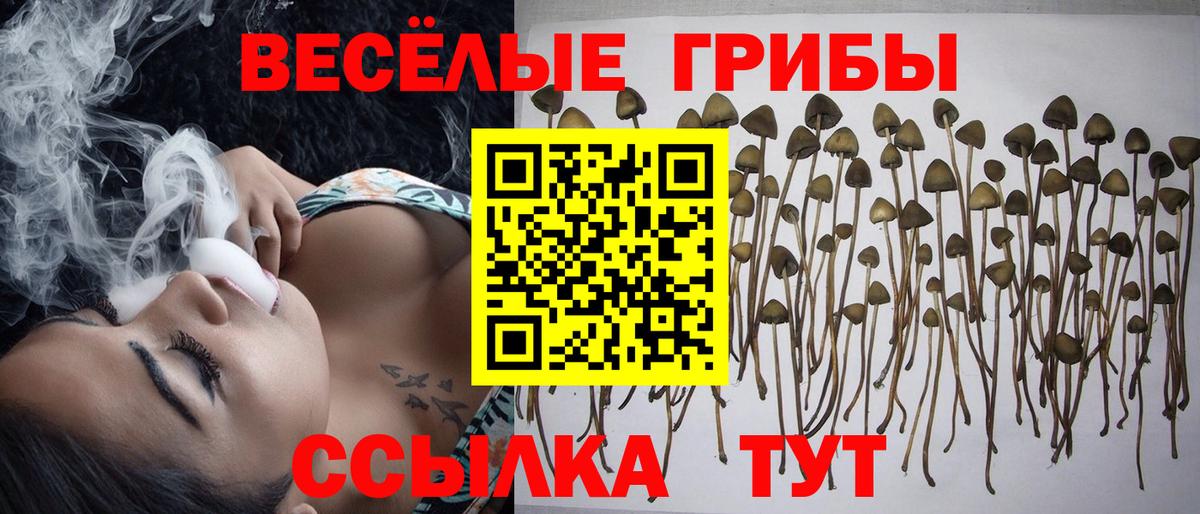 Скопин  Галлюциногенные грибы мухоморы  Вход с VPN  Галлюциногенные грибы ЛСД 