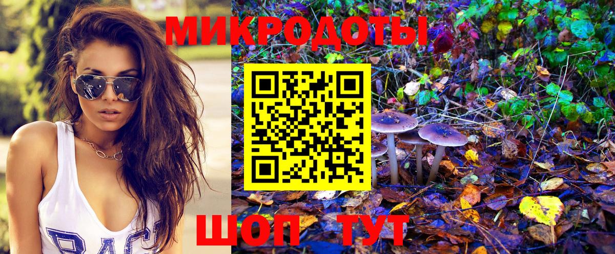 Галлюциногенные грибы Psilocybine cubensis  Скопин 