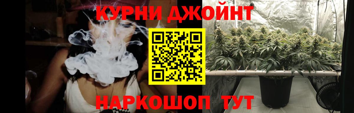 Конопля Amnesia  Канабис OG Kush  Конопля OG Kush  Скопин 